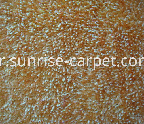 Chenille Carpet Microfiber & Polyester Rug2